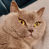 Kim Höfer's avatar